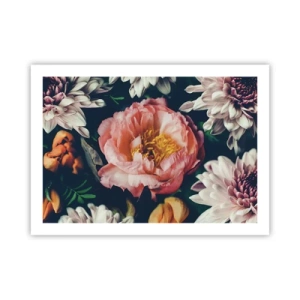 Affiche - Poster - Splendeur baroque - 70x50 cm