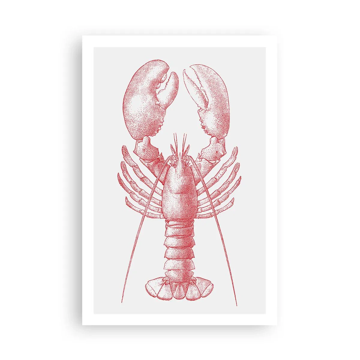 Affiche - Poster - Un homard digne d'Homère - 61x91 cm