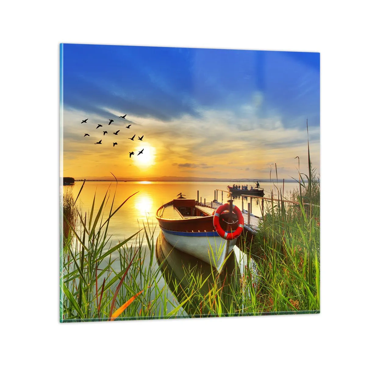 Impression sur verre - Image sur verre - Les cormorans s'envolent déjà - 50x50 cm