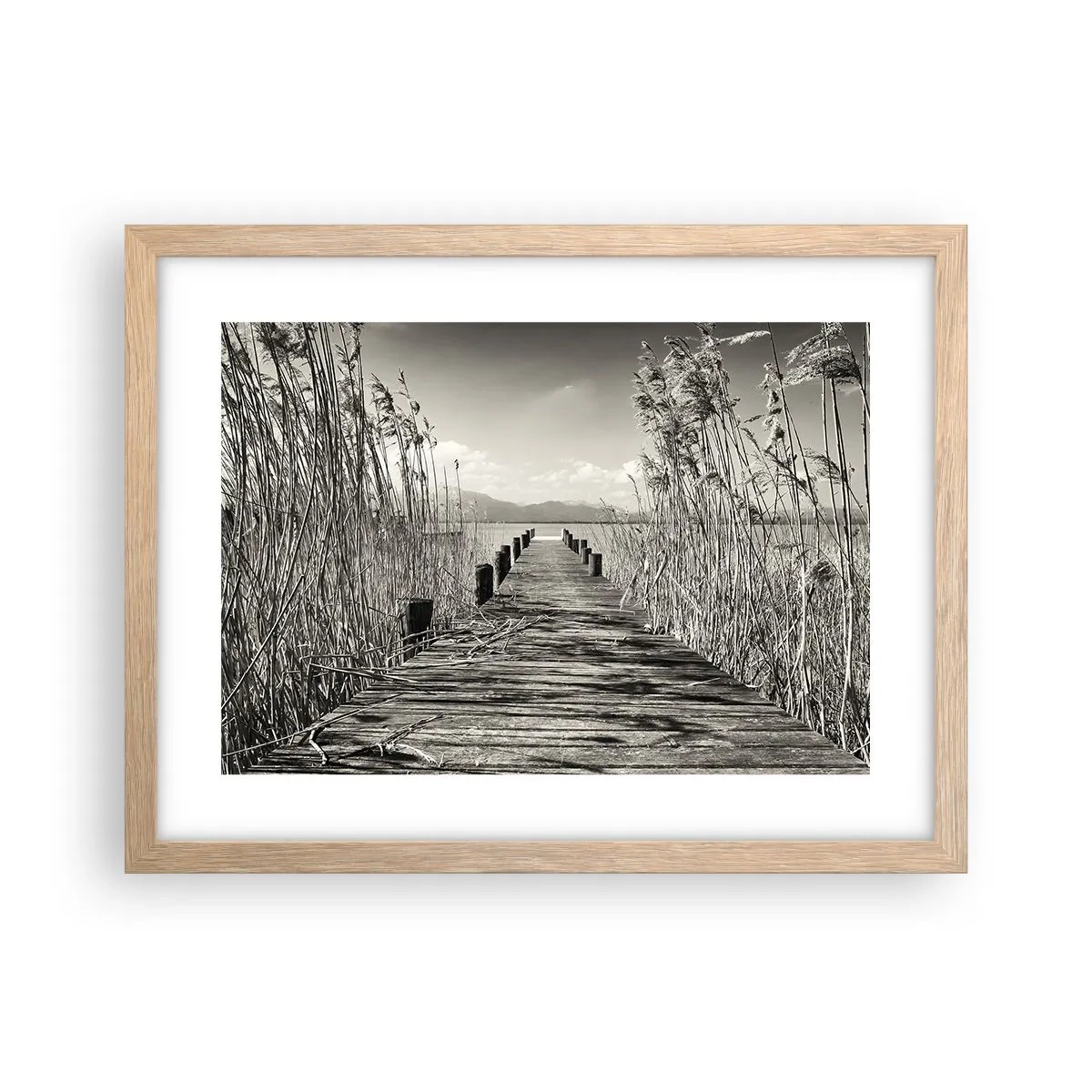 Affiche dans un chêne clair - Poster - Dans le calme de l'herbe - 40x30 cm