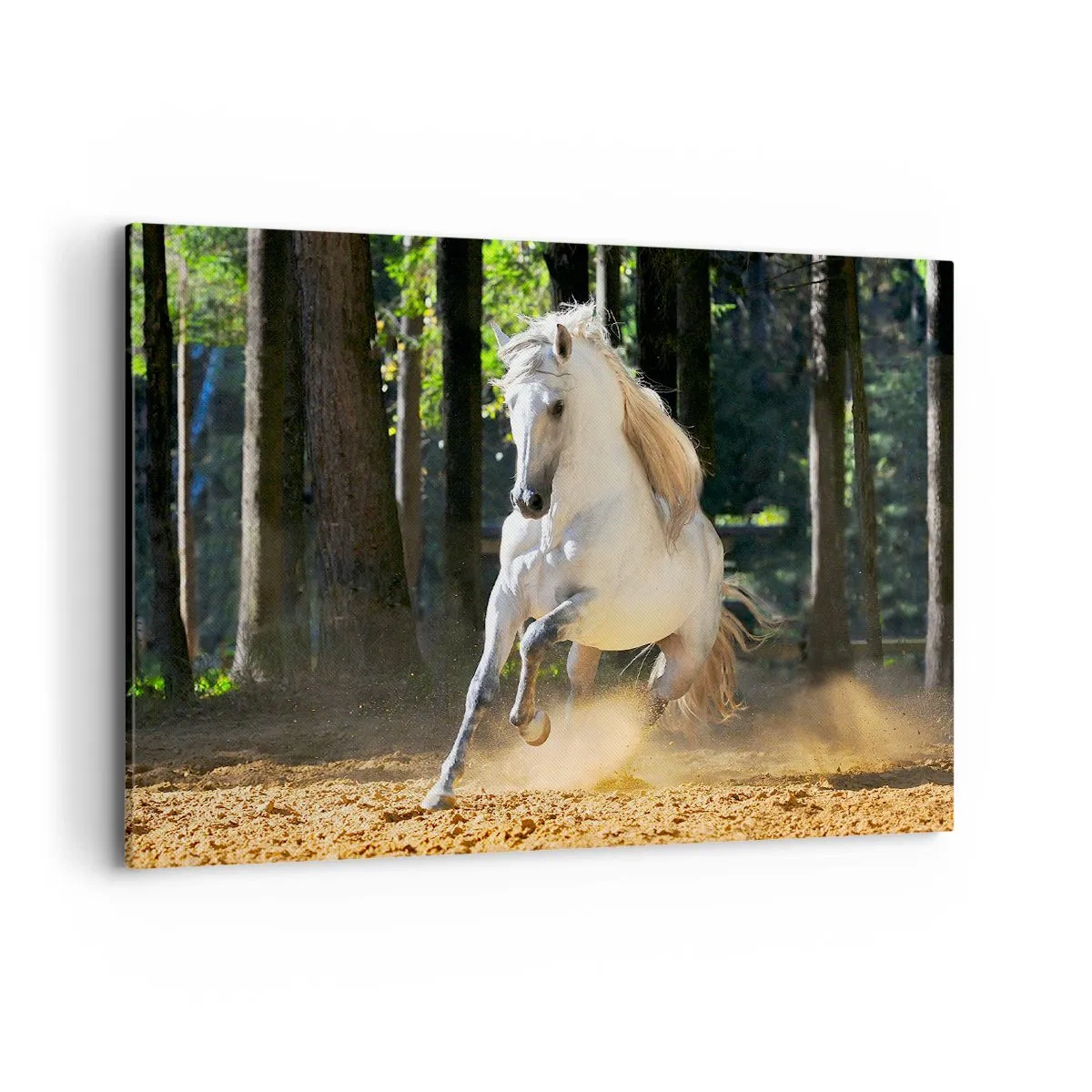 Impression sur toile - Image sur toile - Un cheval blanc galopant dans une clairière forestière - 100x70cm - Comme dans un roman fantastique - Décoration murale moderne pour le salon et la chambre ARTTOR