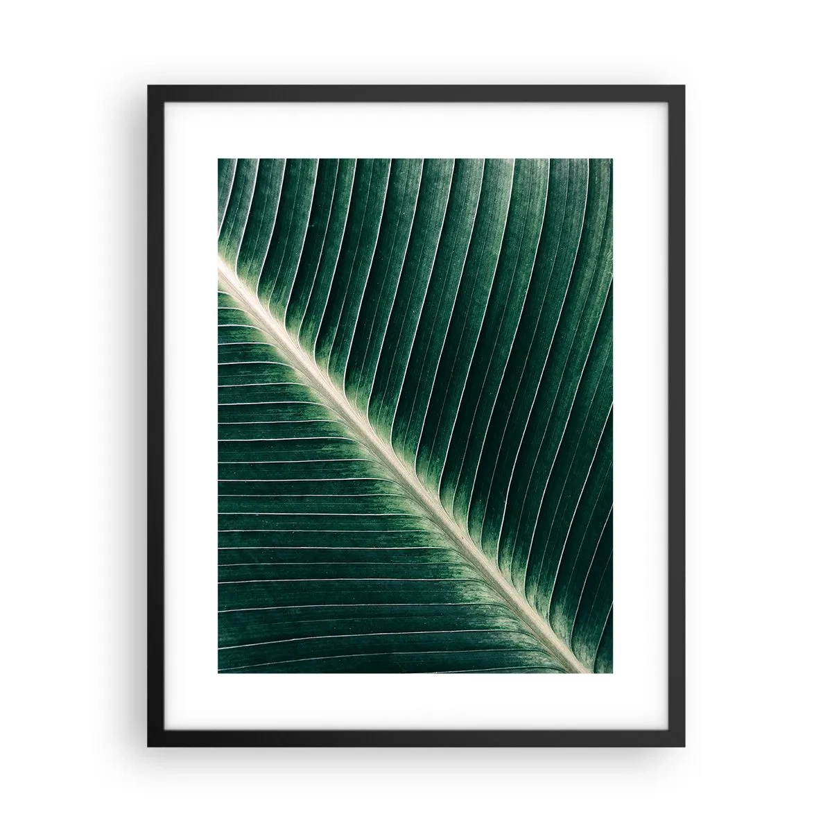 Affiche dans un cadre noir - Poster - Le rythme de la nature - 40x50 cm