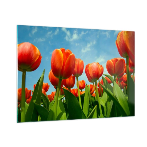 Impression sur verre - Image sur verre - Un champ de tulipes rouges sous un ciel bleu - 100x70cm - A part le ciel bleu, ils n'ont besoin de rien dans leur vie - Décoration murale moderne pour le salon et la chambre ARTTOR