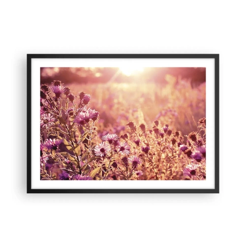 Affiche dans un cadre noir - Poster - Prairie à la lumière du soleil couchant - 70x50cm - Avant que l'été ne parte - Décoration murale moderne pour le salon et la chambre ARTTOR