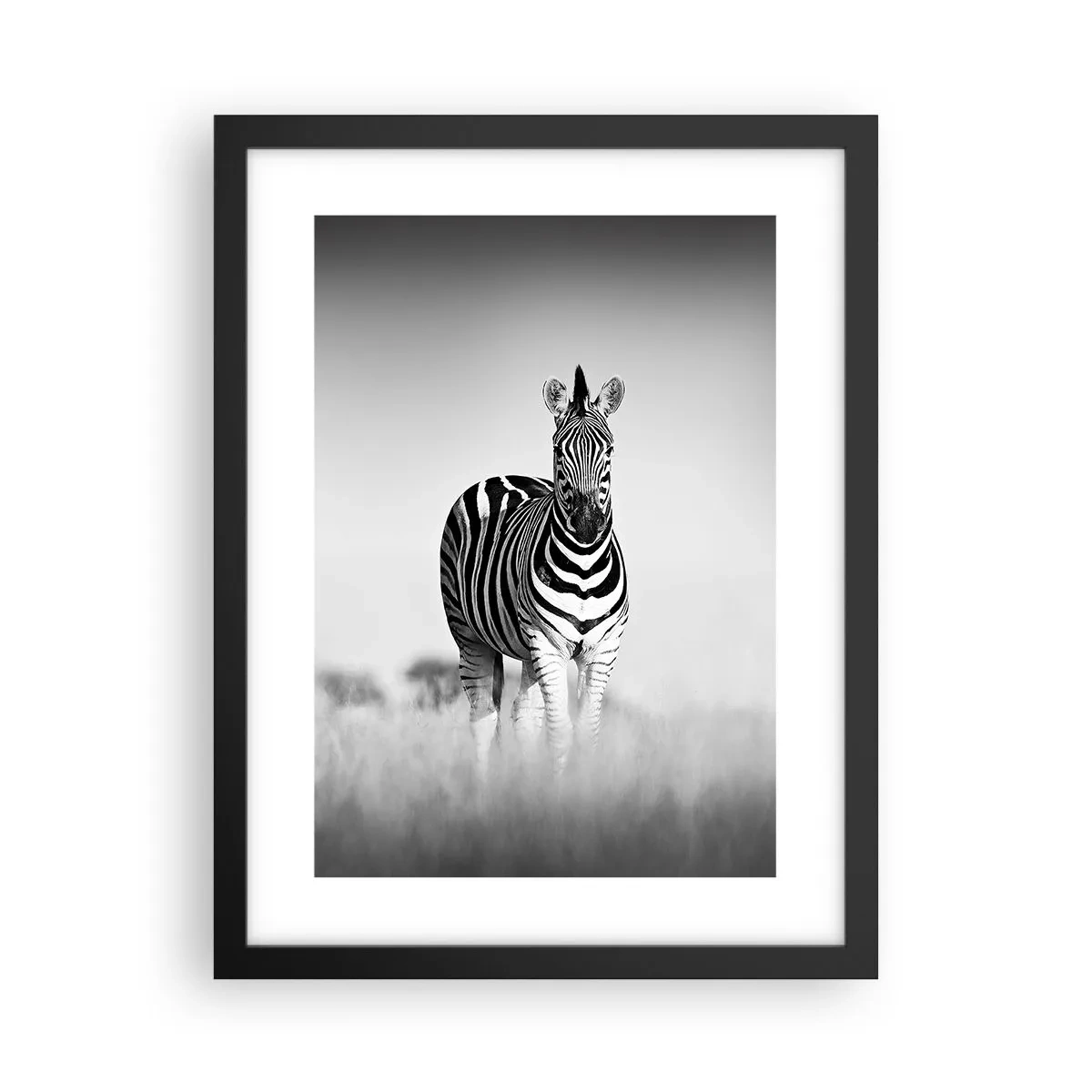 Affiche dans un cadre noir - Poster - Le monde est bel et bien noir et blanc - 30x40 cm