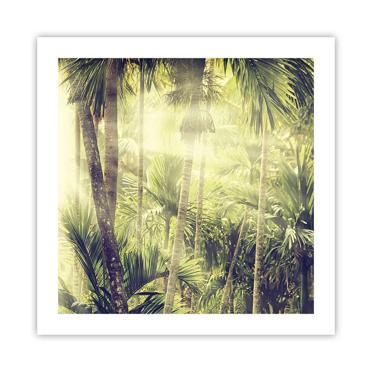 Affiche - Poster - Nature enflammée - 50x50 cm
