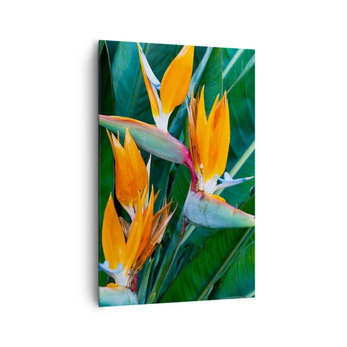 Impression sur toile - Image sur toile - Fleurs de strelitzia exotiques entourées de feuilles vertes - 80x120cm - Est-ce une fleur, est-ce un oiseaux? - Décoration murale moderne pour le salon et la chambre ARTTOR