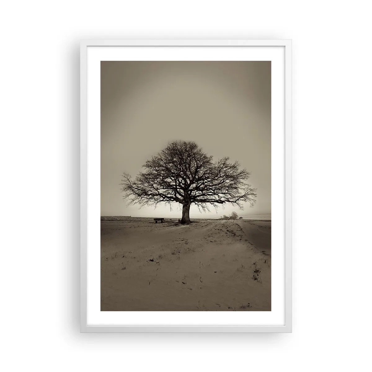 Affiche dans un cadre blanc - Poster - D'ici à l'éternité - 50x70 cm