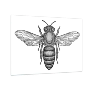 Impression sur verre - Image sur verre - Illustration détaillée d'une abeille rétro sur fond blanc - 70x50cm - Portrait d'insecte - Décoration murale moderne pour le salon et la chambre ARTTOR