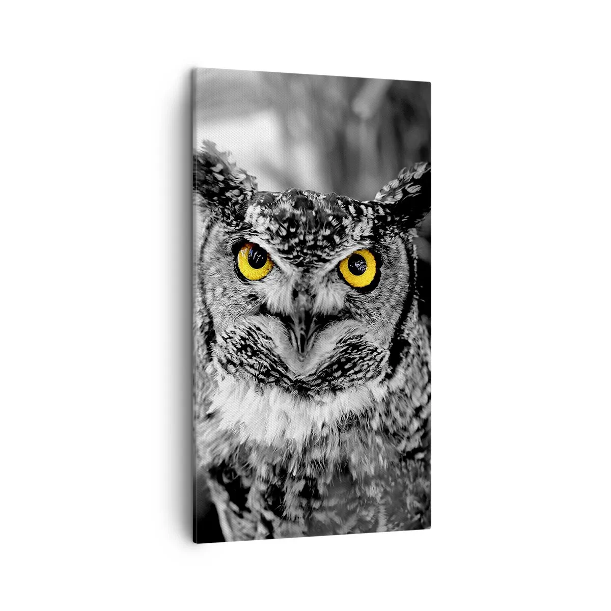 Impression sur toile - Image sur toile - Rien ne se cachera - 45x80 cm