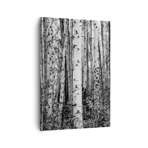 Impression sur toile - Image sur toile - Bouleaux noirs et blancs dans la forêt - 70x100cm - Enchevêtrement de bouleau - Décoration murale moderne pour le salon et la chambre ARTTOR