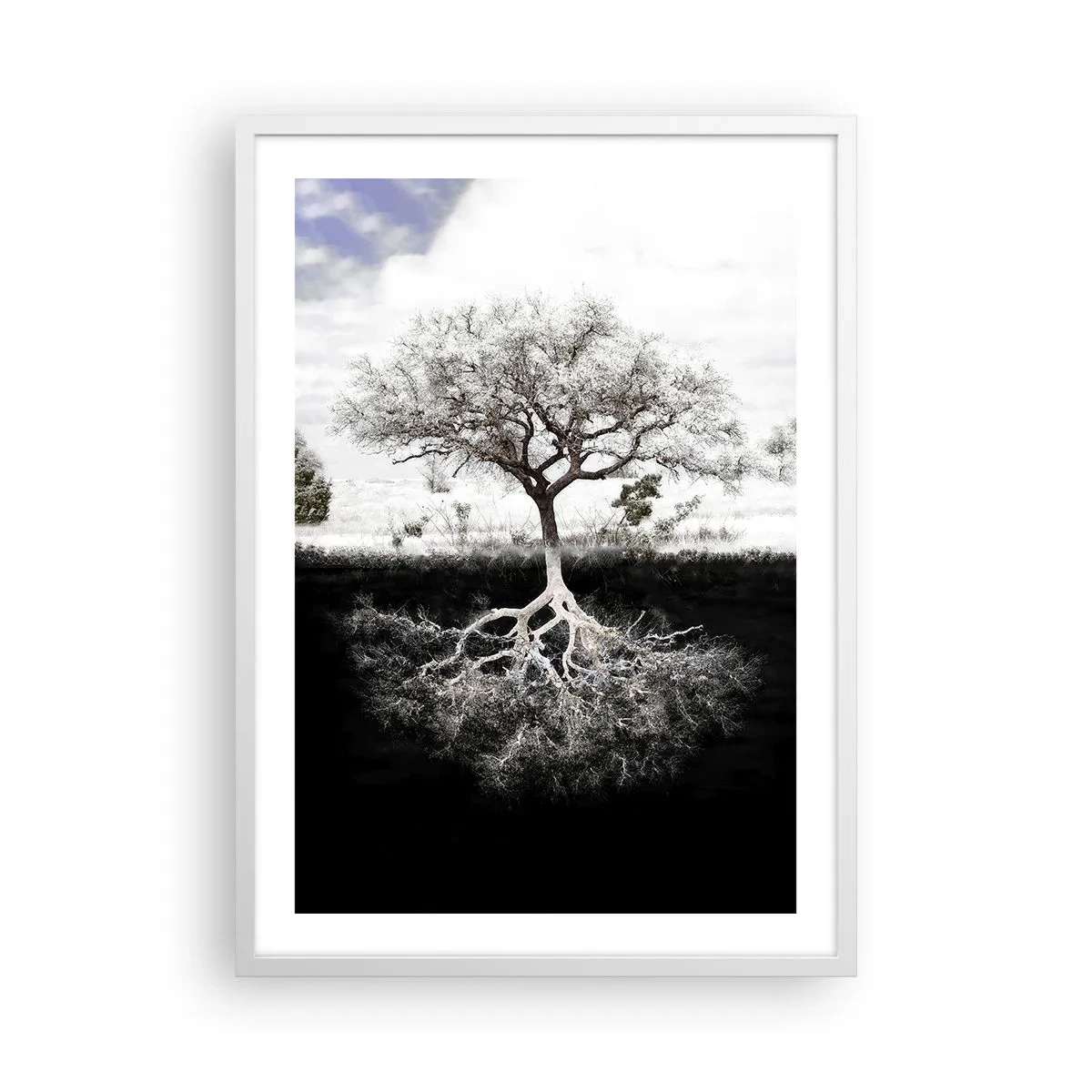 Affiche dans un cadre blanc - Poster - Découvrir la nature du monde - 50x70 cm