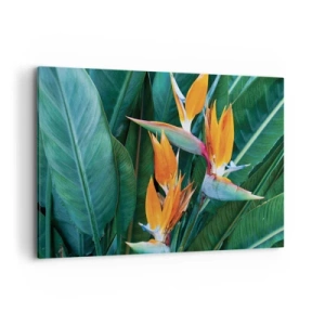 Impression sur toile - Image sur toile - Fleurs de strelitzia exotiques entourées de feuilles vertes - 120x80cm - Est-ce une fleur, est-ce un oiseaux? - Décoration murale moderne pour le salon et la chambre ARTTOR