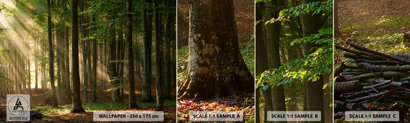 Échantillon De Papier Peint Standard Eco - Rayon d'un matin de printemps - Paysage, Forêt, Parc - 100x30 cm