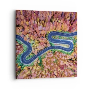 Impression sur toile - Image sur toile - Route sinueuse à travers la forêt - 30x30 cm