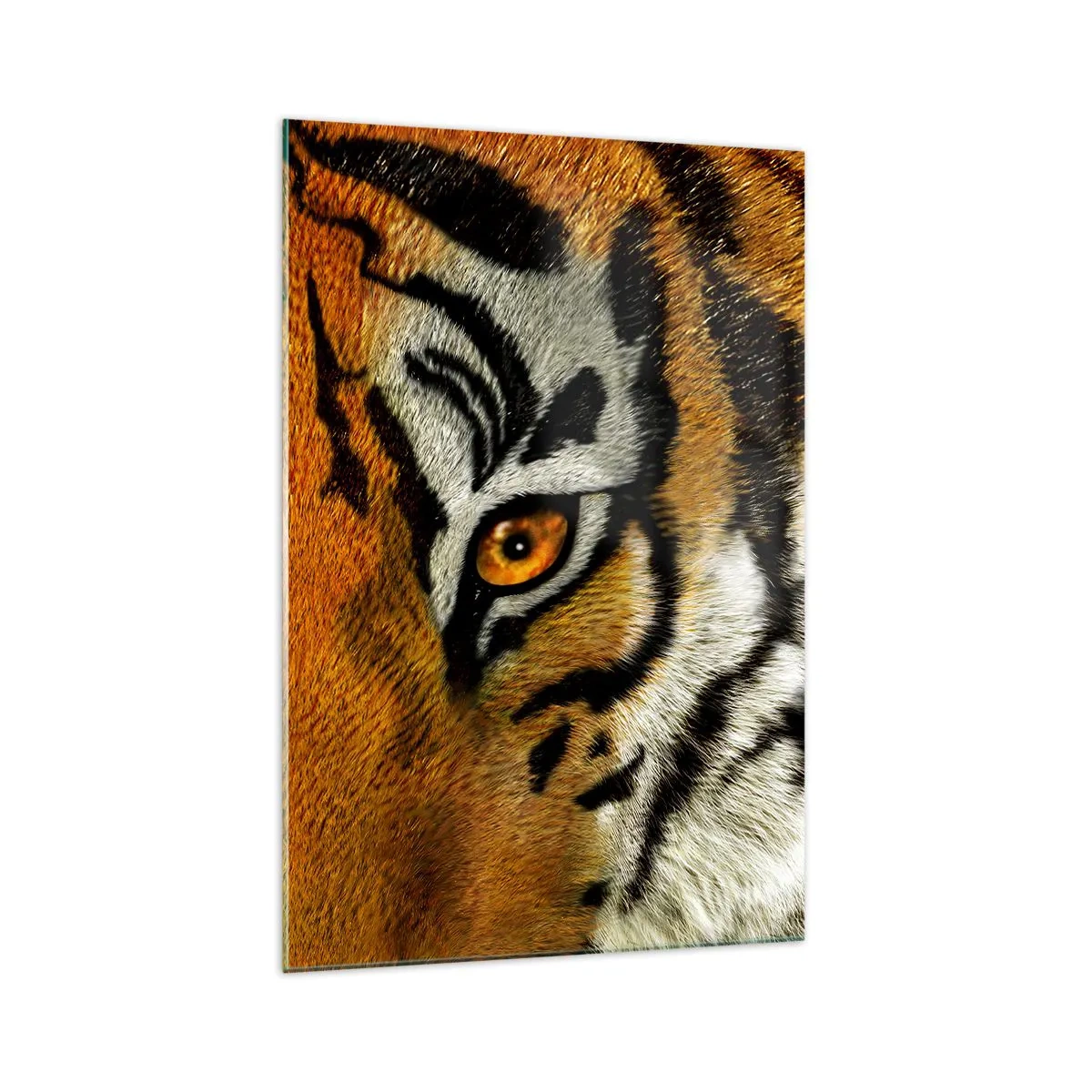 Impression sur verre - Image sur verre - Portrait en gros plan d'un tigre au regard intense - 70x100cm - Terrible et beau - Décoration murale moderne pour le salon et la chambre ARTTOR
