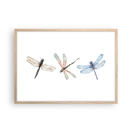 Affiche dans un chêne clair - Poster - Libellules en apesanteur - 70x50 cm
