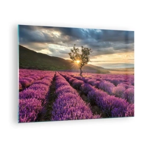 Impression sur verre - Image sur verre - Un champ de lavande avec un arbre solitaire dans les rayons du soleil couchant - 70x50cm - Arôme de couleur lilas - Décoration murale moderne pour le salon et la chambre ARTTOR