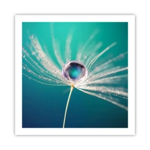 Affiche - Poster - Moment mystique - 60x60 cm