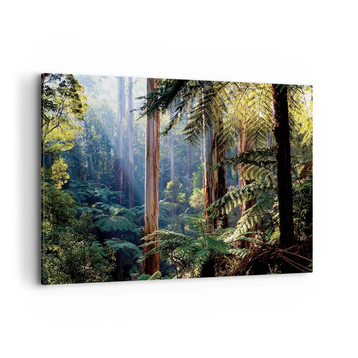 Impression sur toile - Image sur toile - Forêt tropicale illuminée par les rayons du soleil - 100x70cm - Fable de la forêt - Décoration murale moderne pour le salon et la chambre ARTTOR