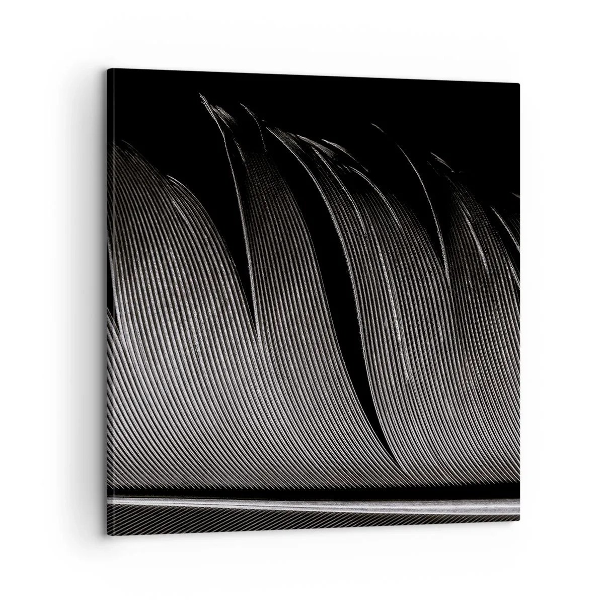 Impression sur toile - Image sur toile - La plume – un design magnifique - 60x60 cm