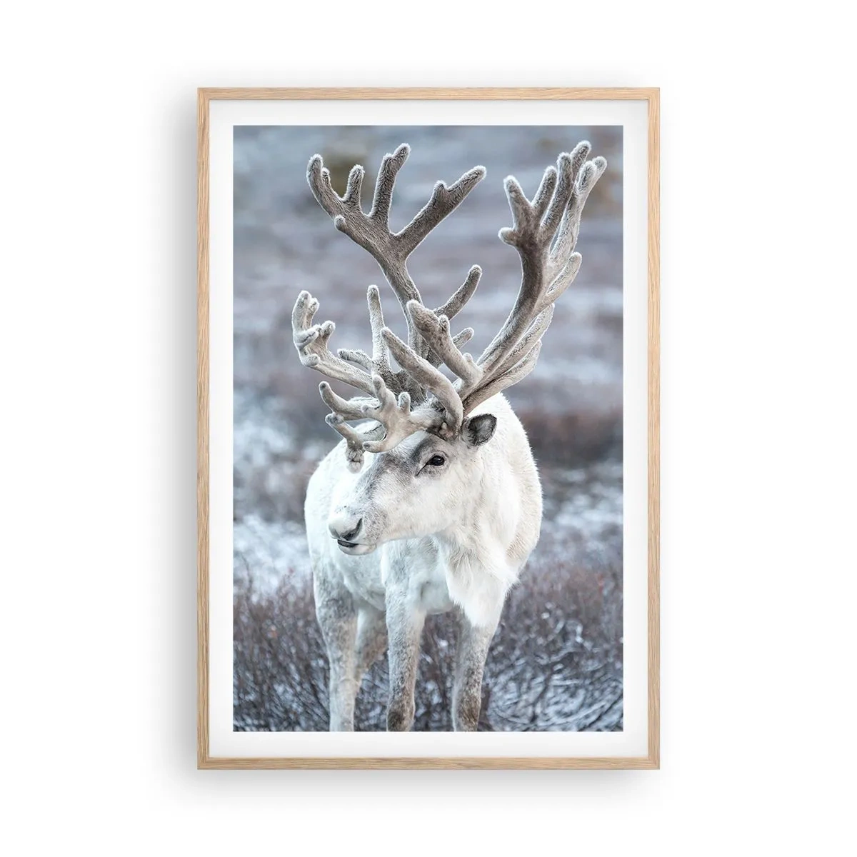 Affiche dans un chêne clair - Poster - Portrait au soleil - 61x91 cm