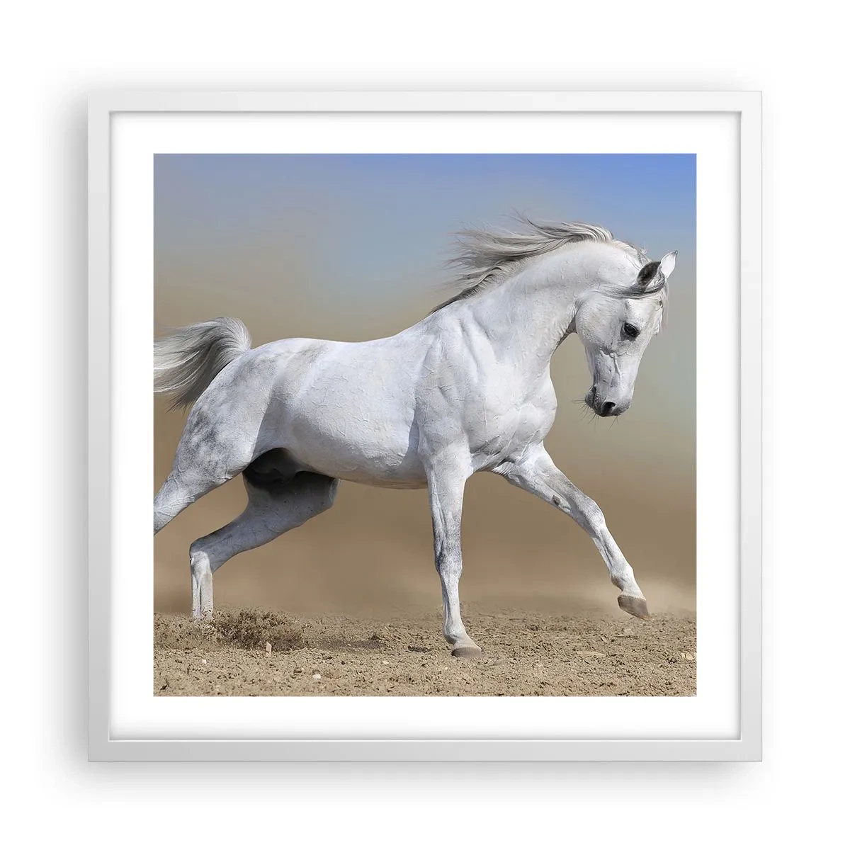 Affiche dans un cadre blanc - Poster - Le plus beau conte de fées arabe - 50x50 cm