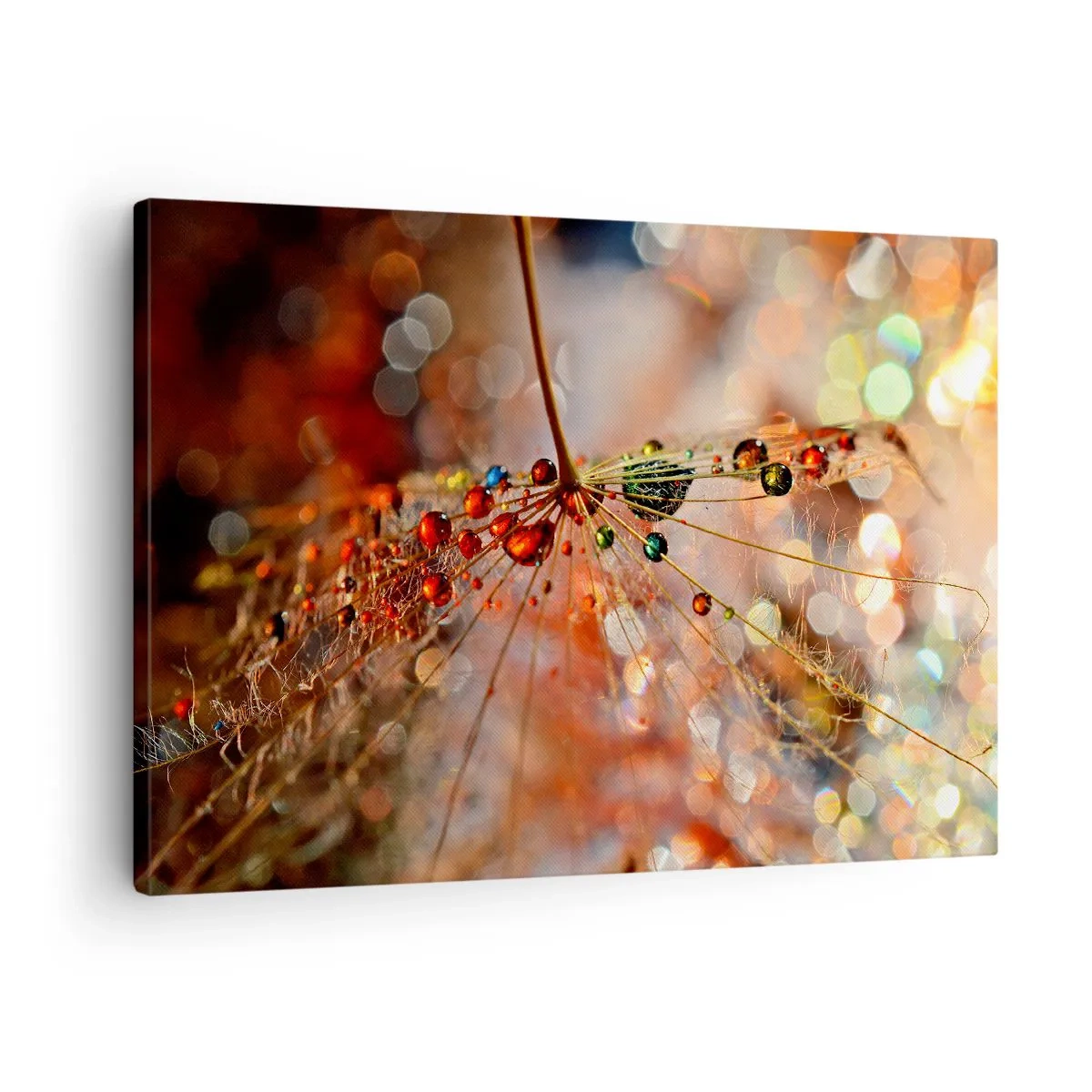 Impression sur toile - Image sur toile - Macrophotographie d'une goutte d'eau sur une plante délicate - 70x50cm - Enfilé sur un fil d'araignée - Décoration murale moderne pour le salon et la chambre ARTTOR