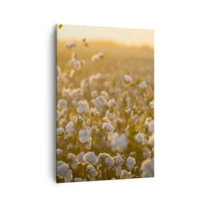 Impression sur toile - Image sur toile - Un champ de coton dans la chaude lumière du soleil couchant - 70x100cm - Champ moelleux - Décoration murale moderne pour le salon et la chambre ARTTOR
