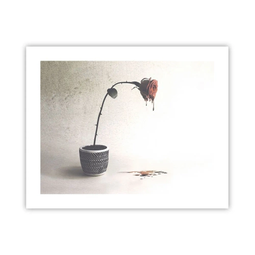 Affiche - Poster - Rosa dolorosa - 50x40 cm