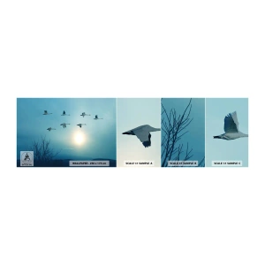 Échantillon de Papier Peint Autocollant Deluxe Sticker - Dis au revoir à l'été pour un an - Paysage, Cigogne, Des oiseaux - 100x30 cm