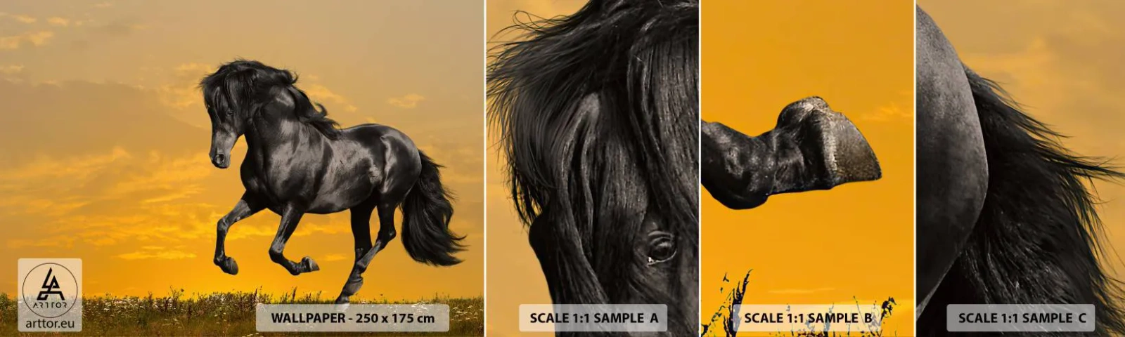 Échantillon De Papier Peint Standard Eco - Beau, libre et sauvage - Animaux, Cheval, Paysage - 100x30 cm