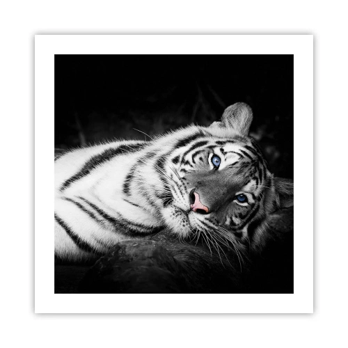 Affiche - Poster - Sauvagerie et paix - 50x50 cm