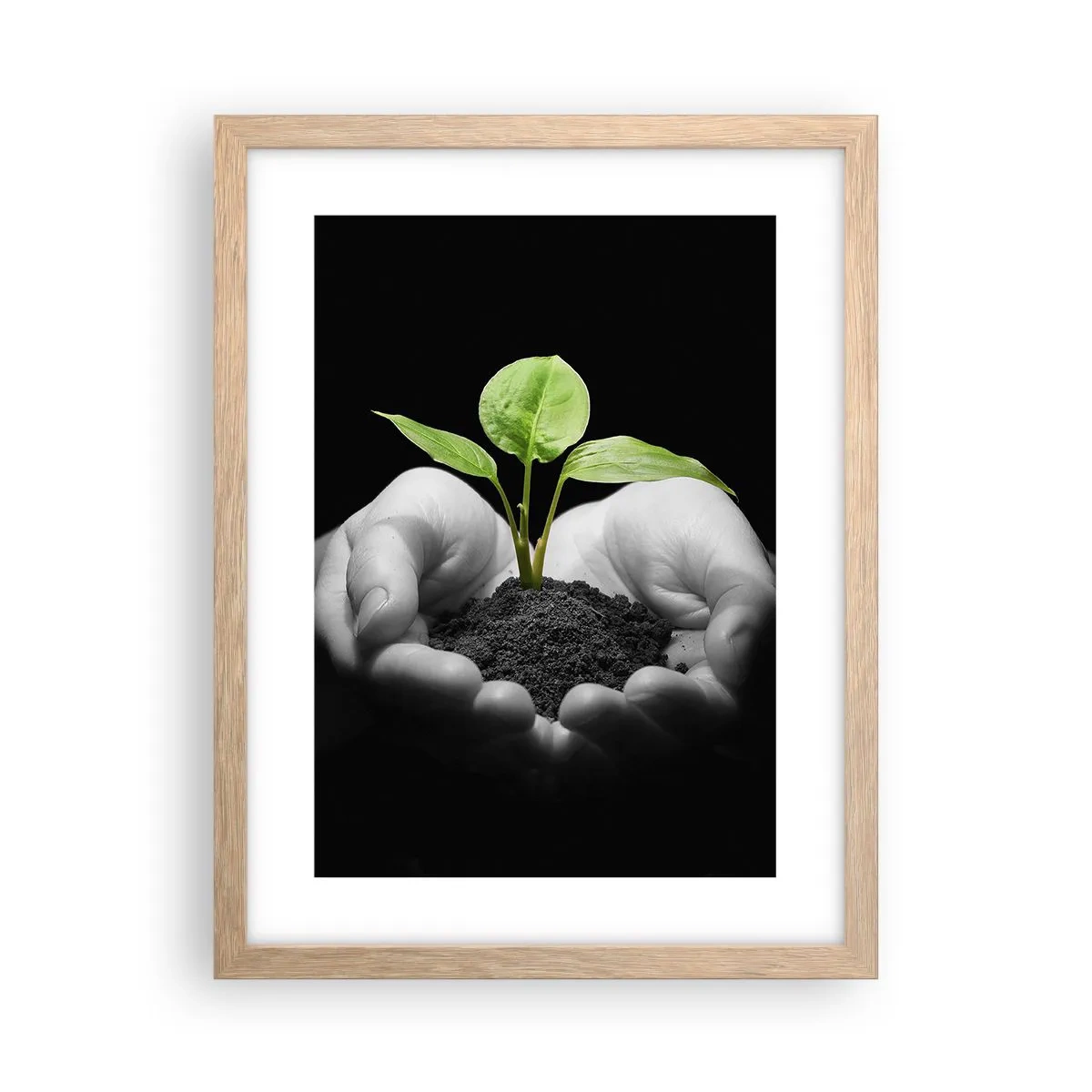 Affiche dans un chêne clair - Poster - J'aime la nature, je la protège - 30x40 cm