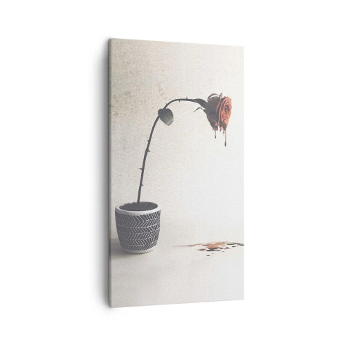 Impression sur toile - Image sur toile - Rosa dolorosa - 45x80 cm