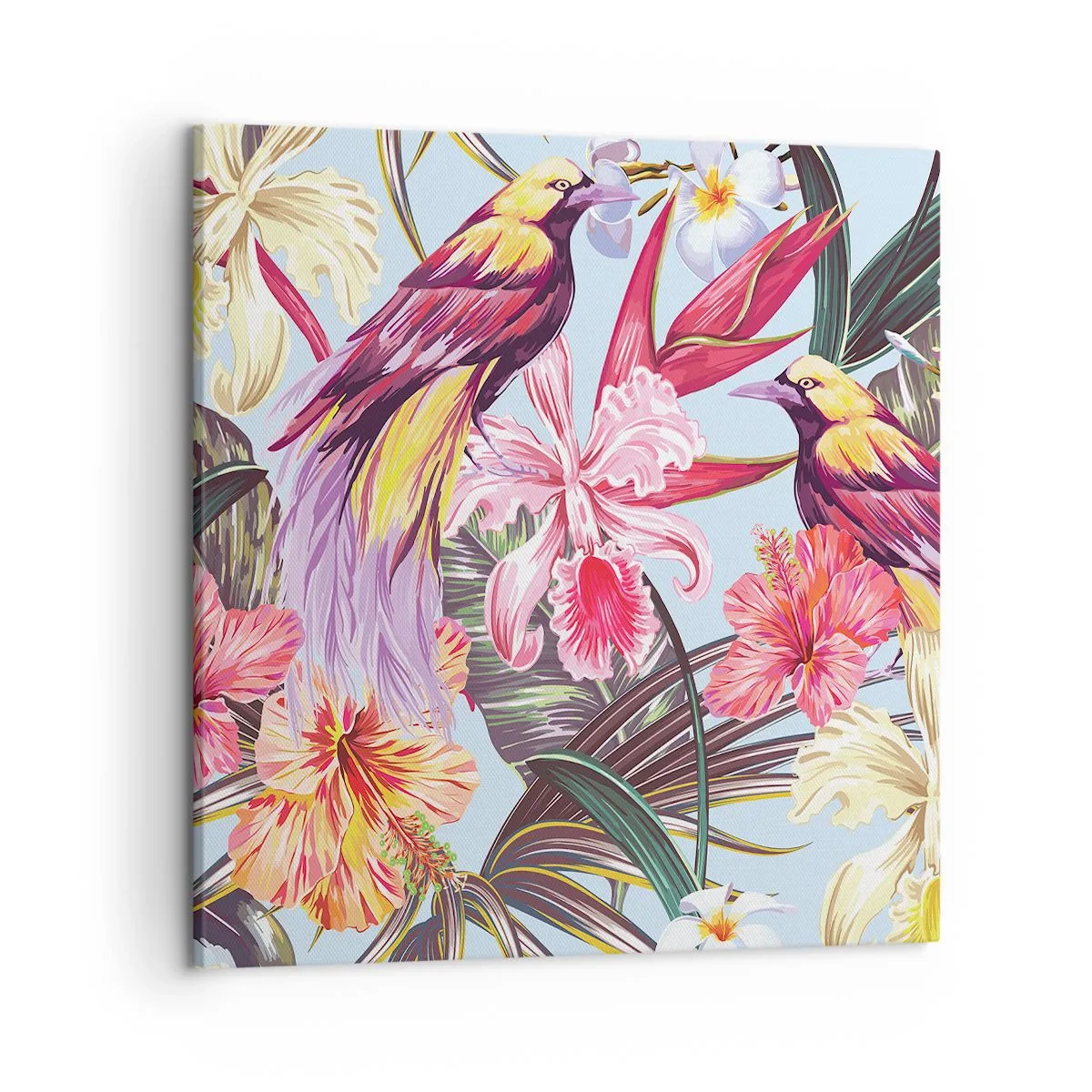 Impression sur toile - Image sur toile - Pétales et plumes - 50x50 cm