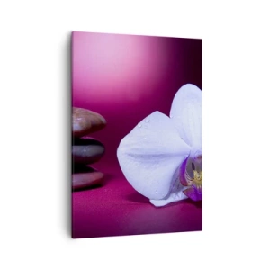 Impression sur toile - Image sur toile - Orchidée blanche et pierres sur fond rose - 50x70cm - Une étude de fraîcheur en violet - Décoration murale moderne pour le salon et la chambre ARTTOR