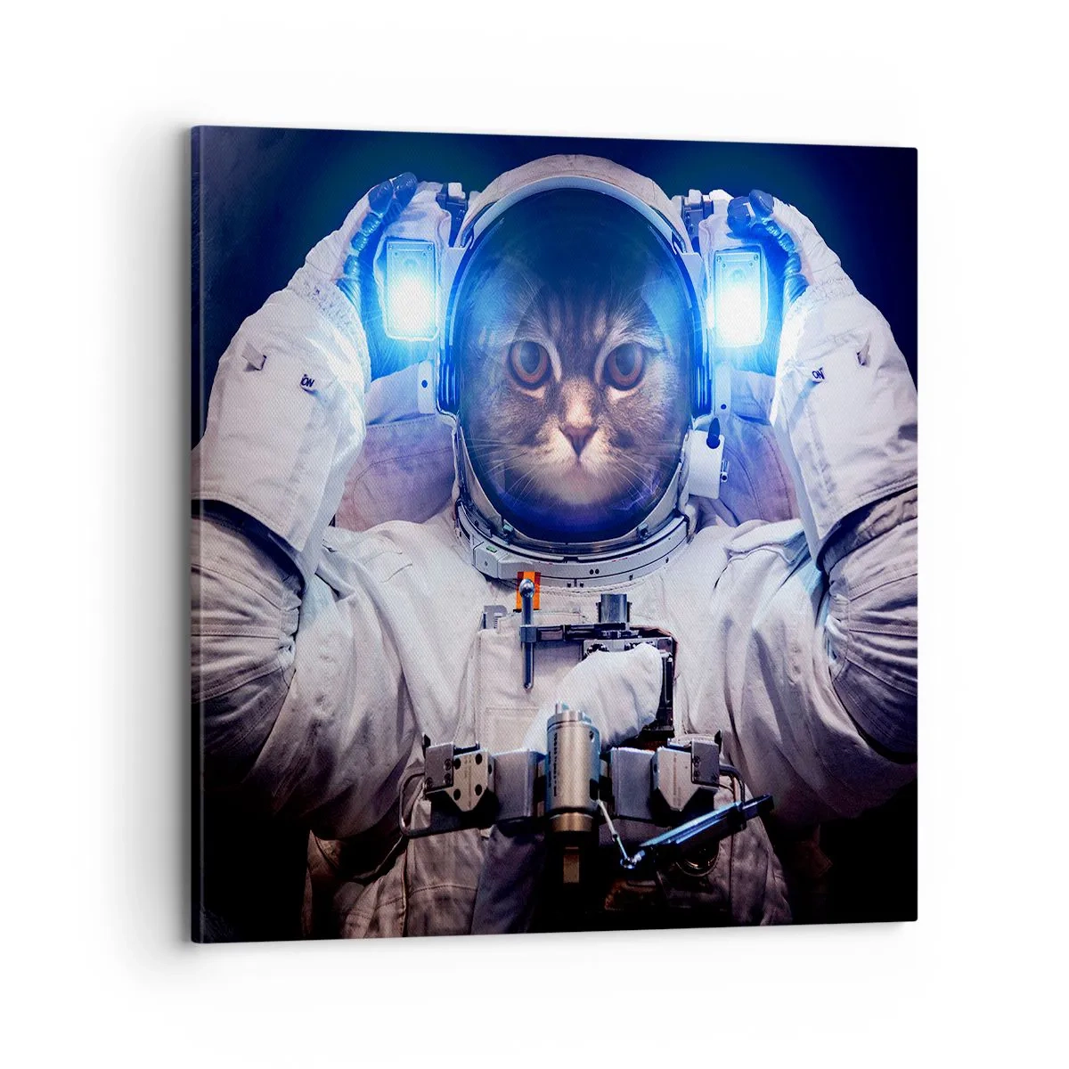 Impression sur toile - Image sur toile - Houston, vous avez un problème - 70x70 cm