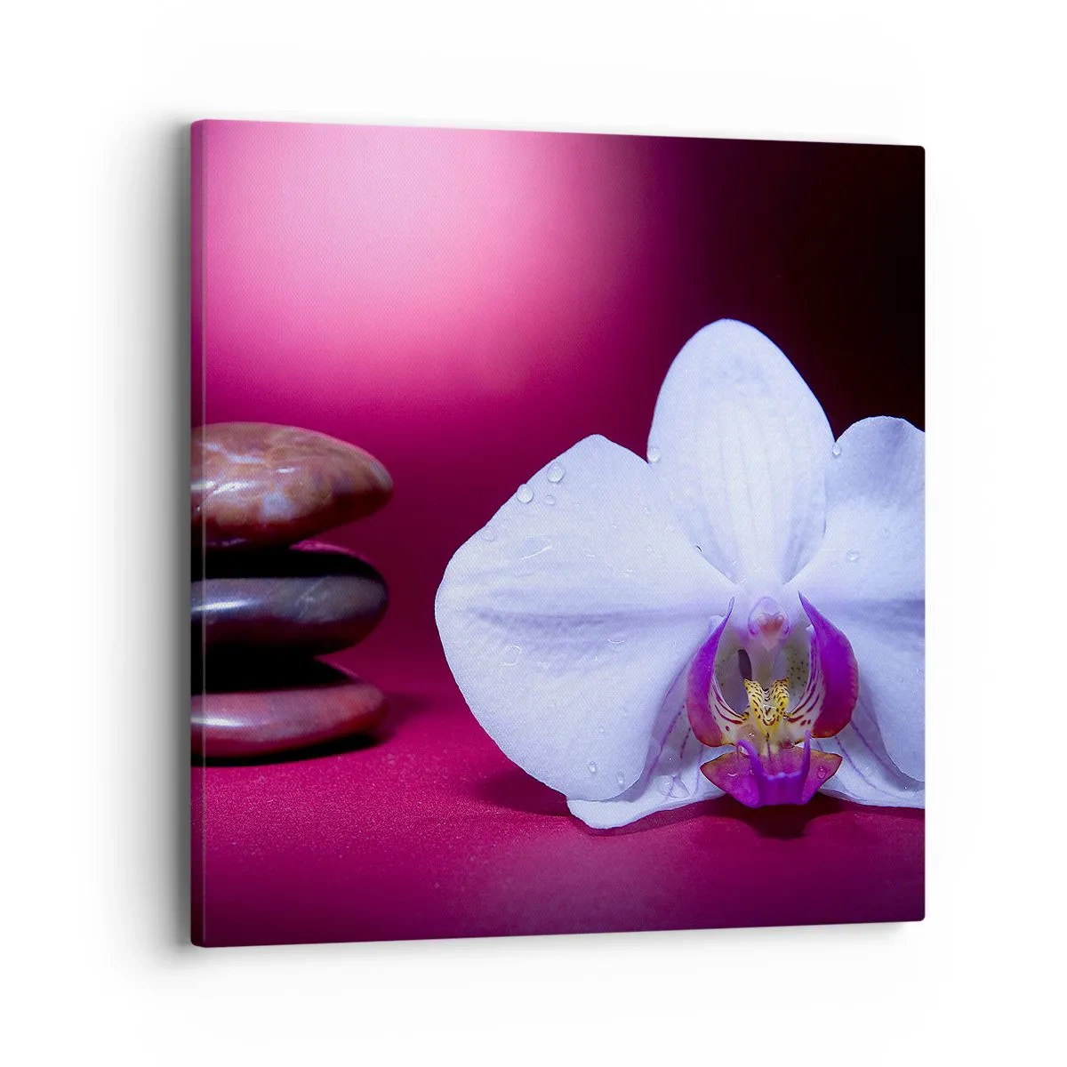 Impression sur toile - Image sur toile - Une étude de fraîcheur en violet - 40x40 cm