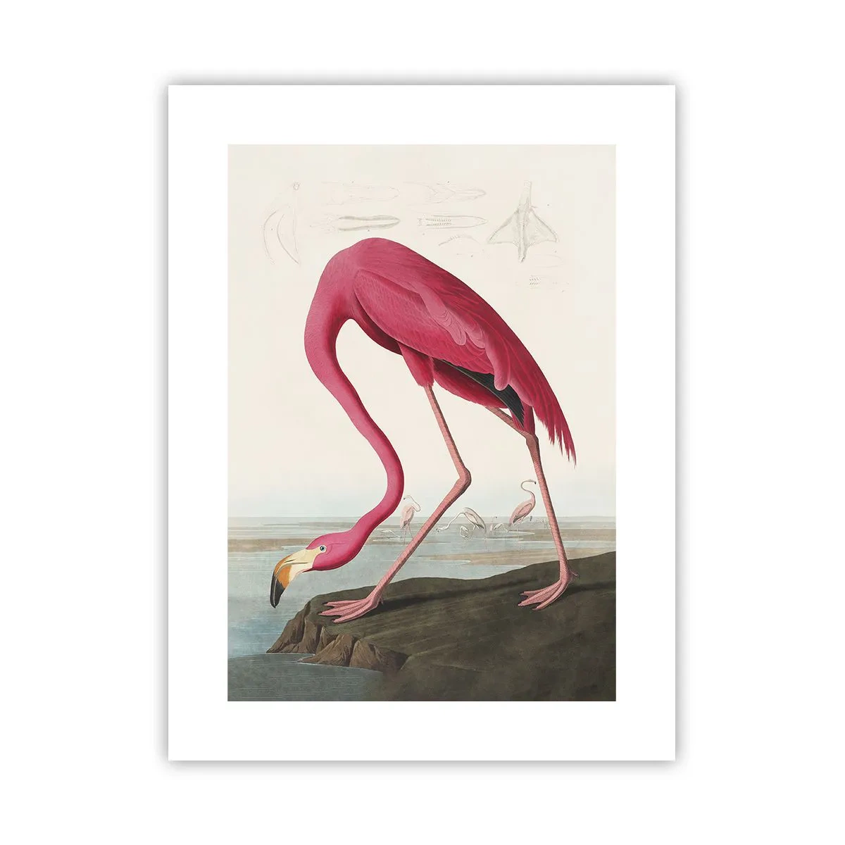 Affiche - Poster - Création étonnante - 30x40 cm