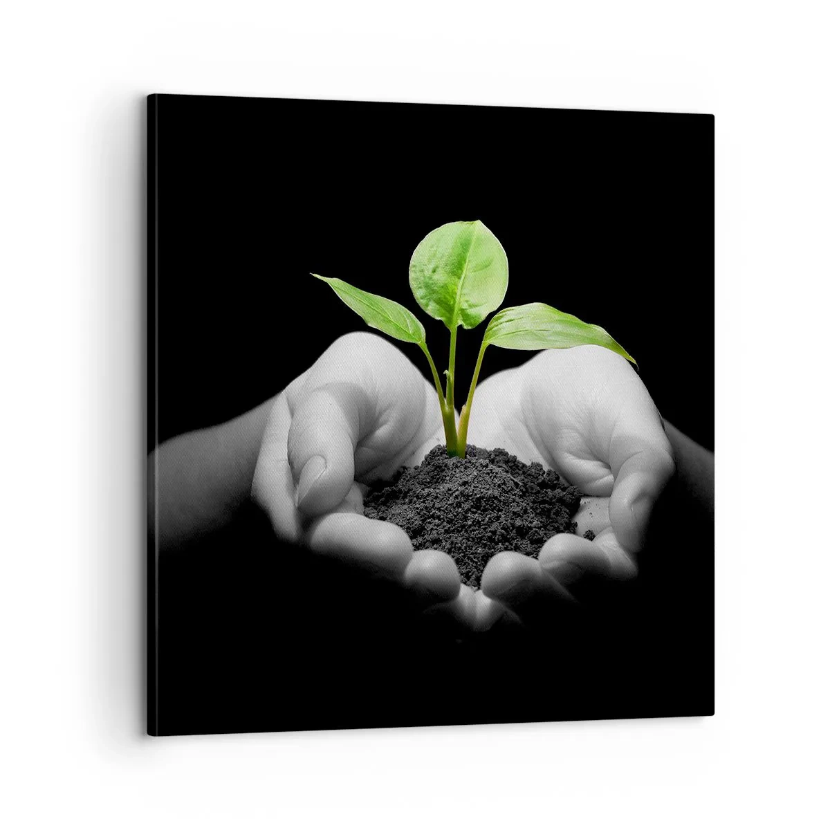 Impression sur toile - Image sur toile - J'aime la nature, je la protège - 60x60 cm