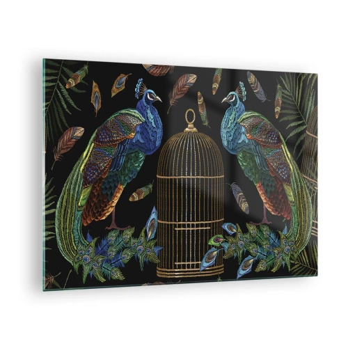 Impression sur verre - Image sur verre - Paons colorés et une cage sur fond noir - 70x50cm - En robes royales - Décoration murale moderne pour le salon et la chambre ARTTOR