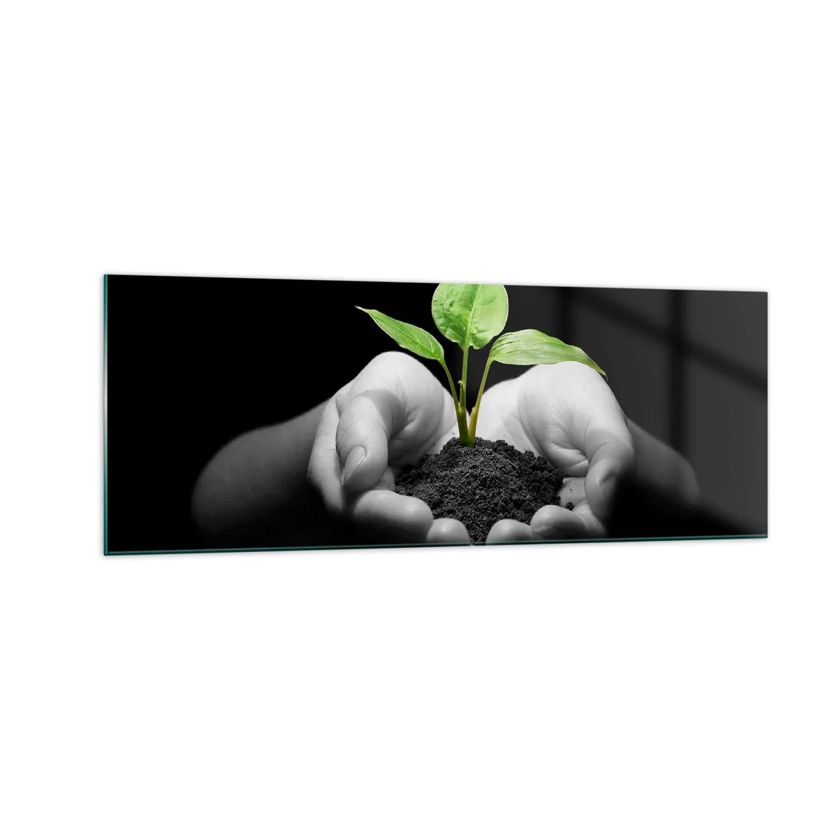 Impression sur verre - Image sur verre - Mains tenant une plante verte sur fond noir - 140x50cm - J'aime la nature, je la protège - Décoration murale moderne pour le salon et la chambre ARTTOR