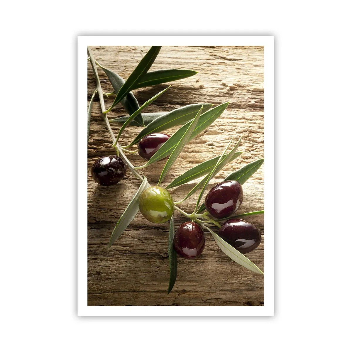 Affiche - Poster - Directement de la nature - 70x100 cm