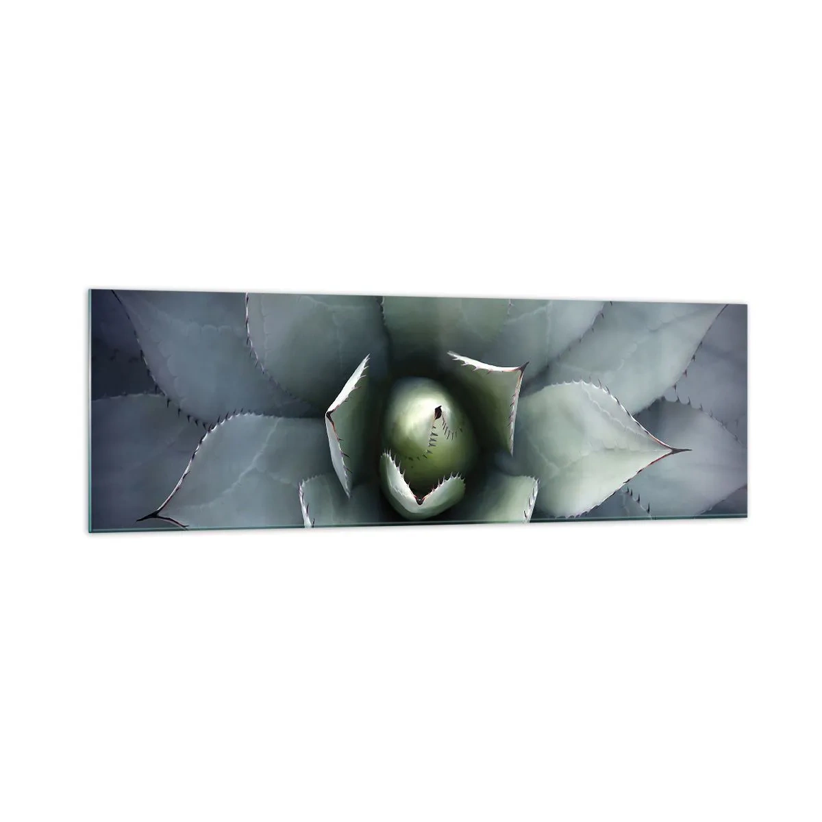 Impression sur verre - Image sur verre - Gros plan d'une rosette d'agave aux délicates nuances de vert - 160x50cm - Wabi et observe - Décoration murale moderne pour le salon et la chambre ARTTOR