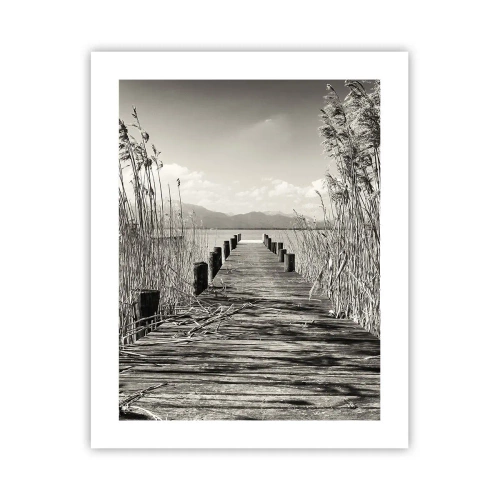 Affiche - Poster - Dans le calme de l'herbe - 40x50 cm