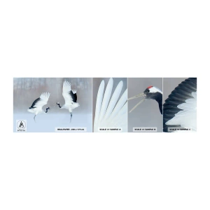 Échantillon De Papier Peint Standard Eco - Danse dans le brouillard - Hiver, Oiseau, Nature - 100x30 cm