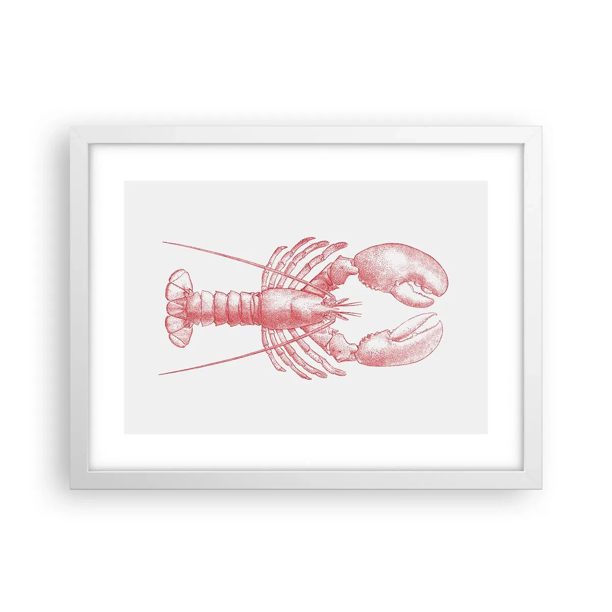 Affiche dans un cadre blanc - Poster - Un homard digne d'Homère - 40x30 cm