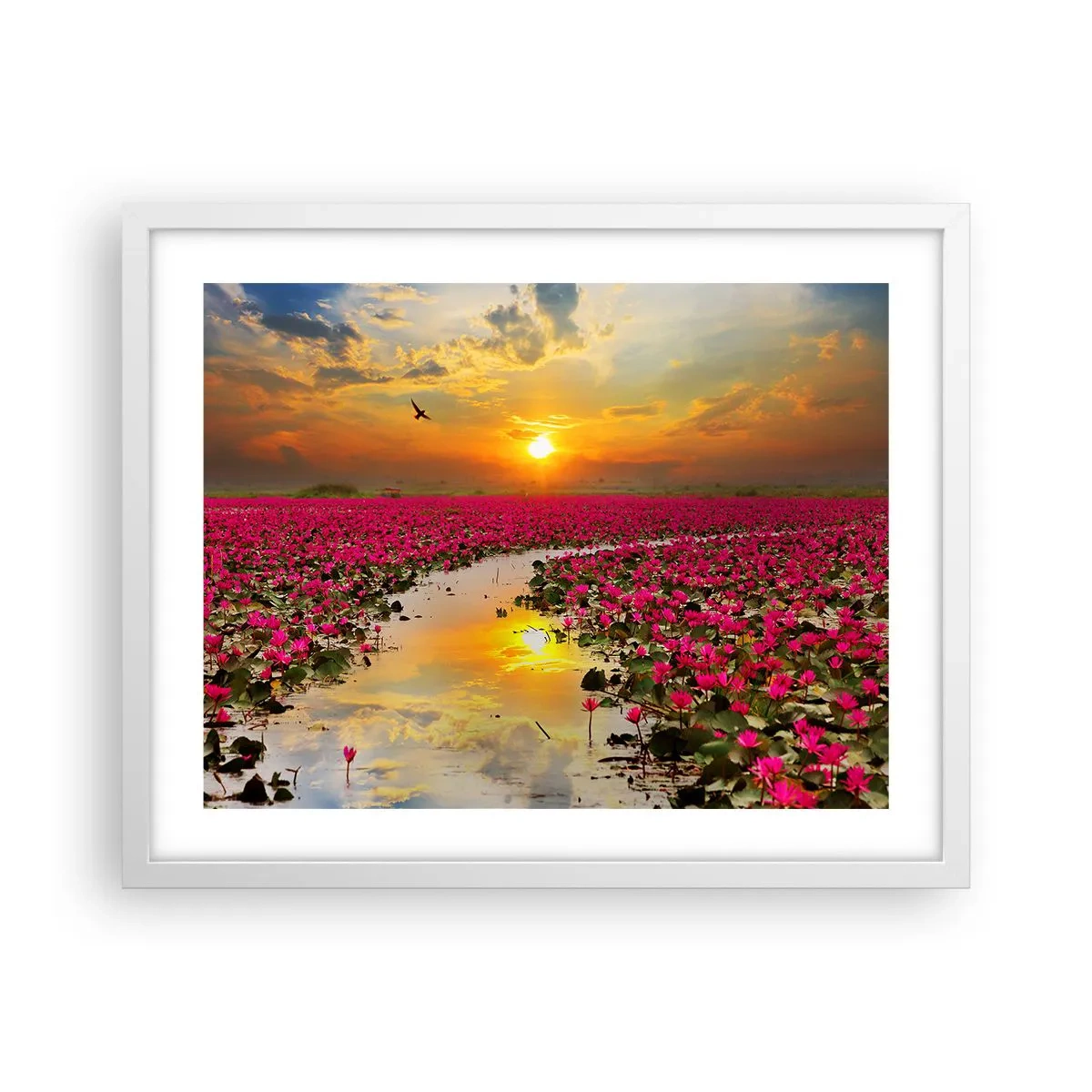 Affiche dans un cadre blanc - Poster - La vie secrète du lac - 50x40 cm