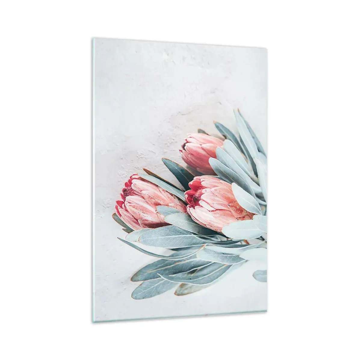 Impression sur verre - Image sur verre - Fleurs de protéa roses subtiles sur fond clair - 80x120cm - Honte de leur propre beauté - Décoration murale moderne pour le salon et la chambre ARTTOR